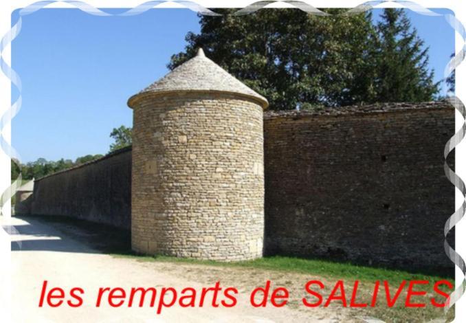 Le Puits Fortifie Salives ภายนอก รูปภาพ